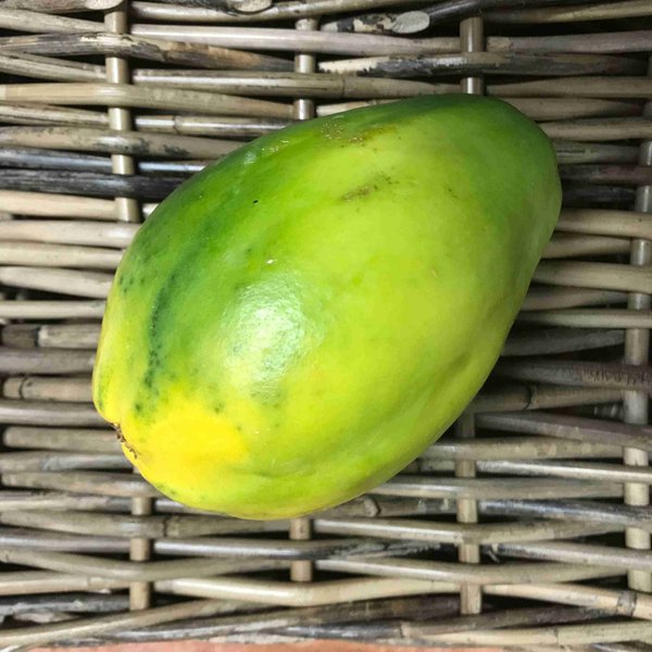 Papaya, Stk., Bio