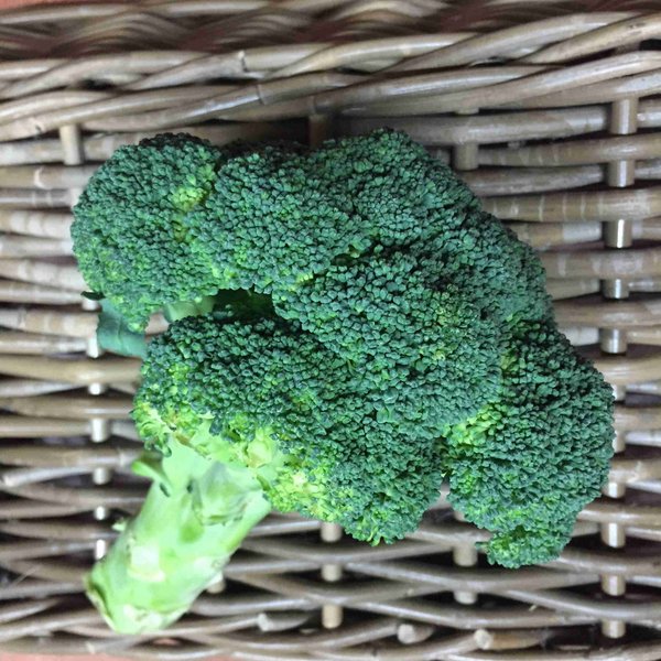 Broccoli, Stk., Bio